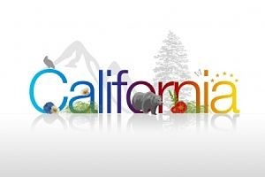 California Disability Leave 2018