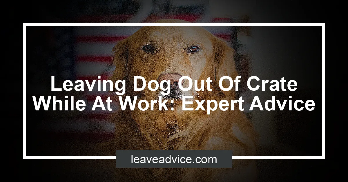 leaving-dog-out-of-crate-while-at-work-expert-advice-leaveadvice