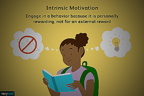 Examples of Intrinsic Motivation