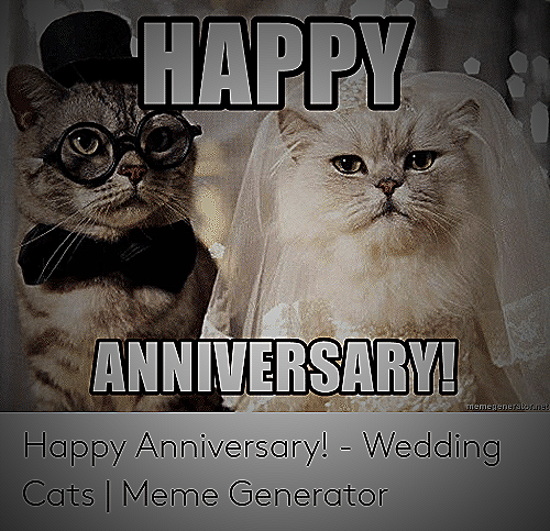 A happy anniversary meme featuring a dog holding a sign that says 'Happy Anniversary, you cat people'