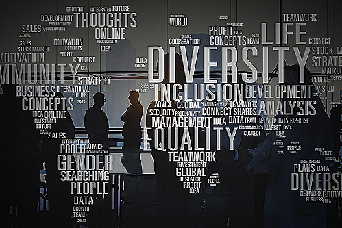 image of diversity and inclusion training