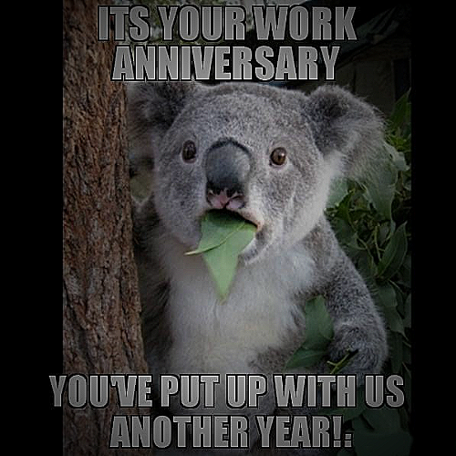 Happy Gilmore Meme - 1 year work anniversary meme