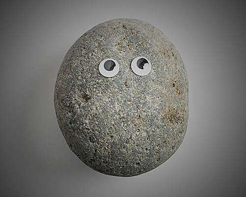 Pet Rock