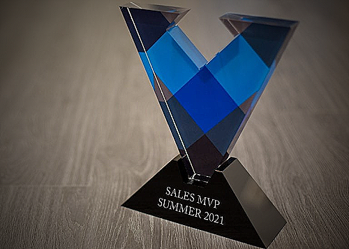 Salesperson of the Year Award - fun awards for employees