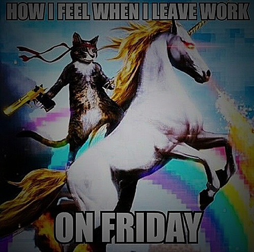 Work on Friday Meme #11