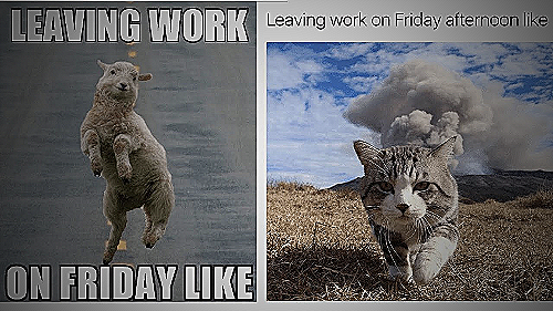 Work on Friday Meme #16