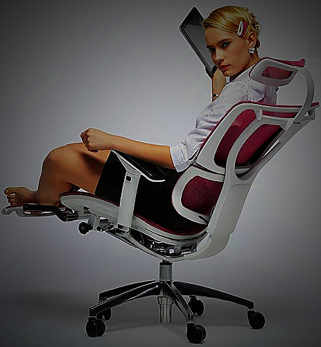 Ergonomic Office Chair - work from home jobs cleveland ohio no experience