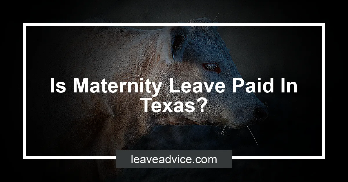 Is Maternity Leave Paid In Texas?