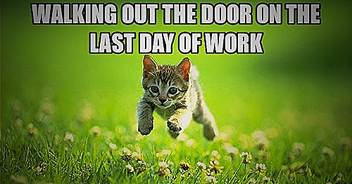 Leaving Last Day Of Work Meme: Say Goodbye With Laughter - LeaveAdvice.com